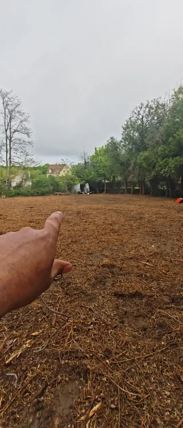Parcelle de 3 000 m² perdue sous un roncier de 20 ans (2 à 2,50 m de haut) : débroussaillage complet, six arbres penchés côté voisin abattus, houppiers bas relevés
