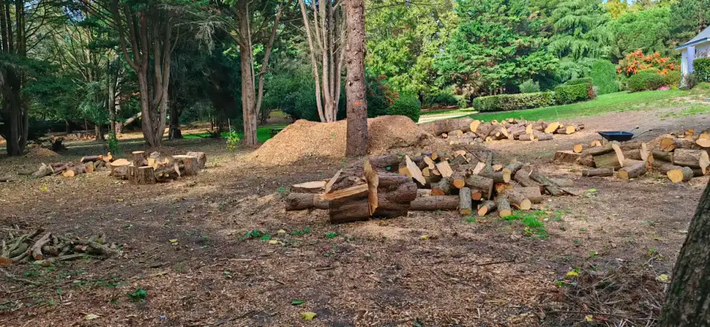 Le bois billonné, réparti dans le parc