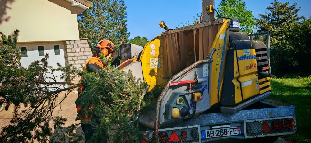 Le broyeur en action sur les charpentières