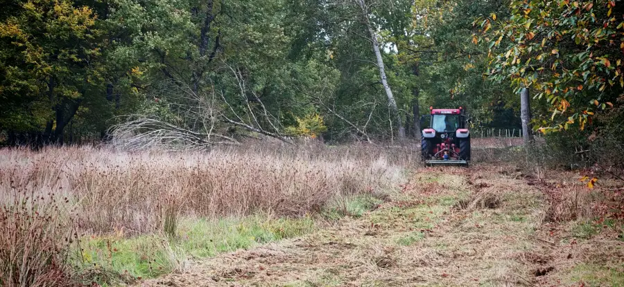 Débroussaillage de 3 ha en 2 jours avant vente + mise en conformité OLD : gyrobroyeur au tracteur pour le volume, porteur sur chenilles pour les abords, troncs tombés dégagés