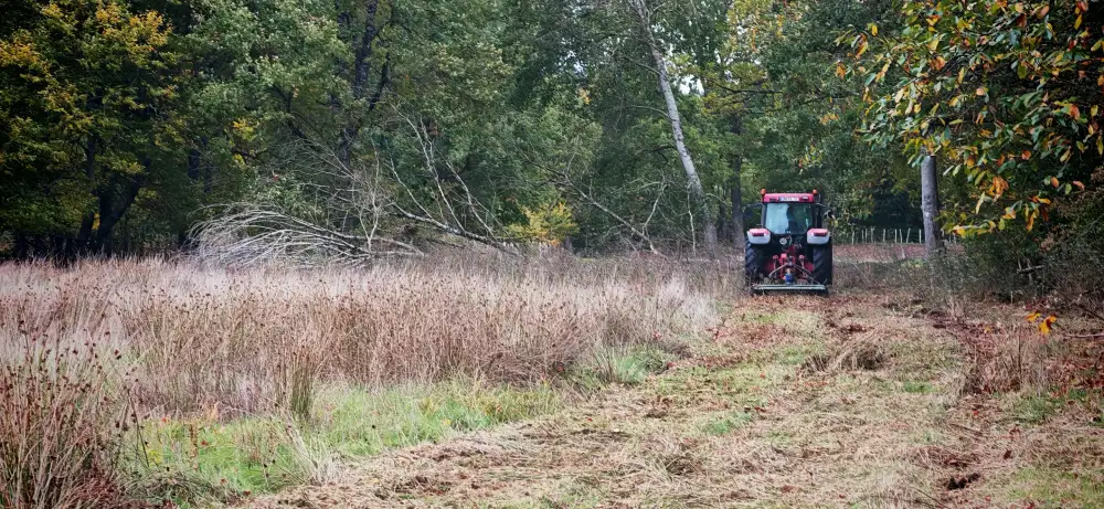 Le tracteur et le gyrobroyeur attaquent la friche haute de la parcelle de trois hectares, à Changé