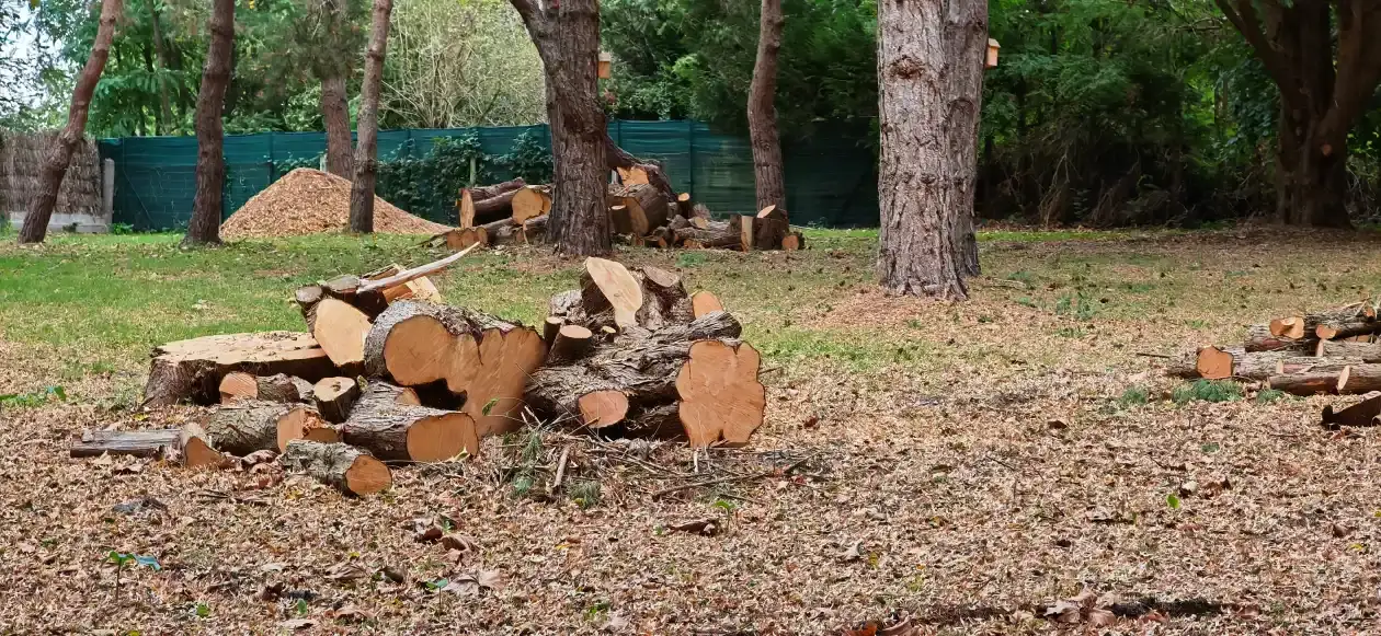 Le bois débité dans un parc familial près de La Flèche, pendant un chantier de trois jours