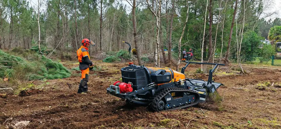 Feux de forêt en Sarthe, juillet 2026 : ce que ce week-end nous rappelle, ici à Ruaudin