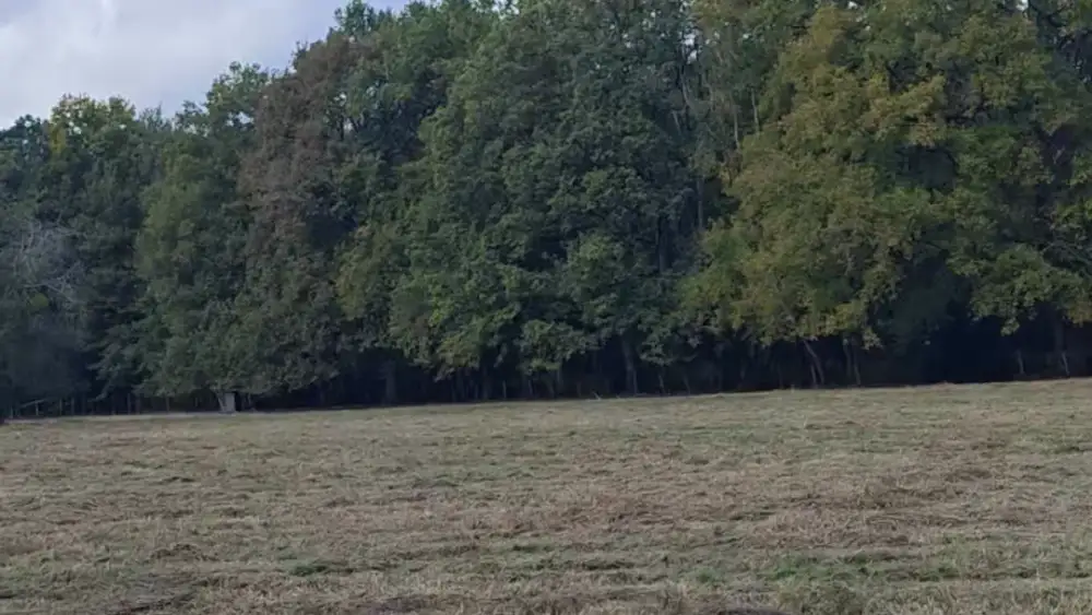 Le tour des 3 hectares, une fois le travail fait