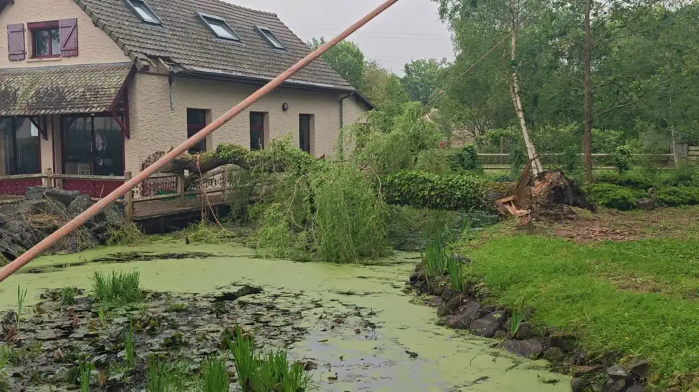 L'urgence en images : du treuil au débardage